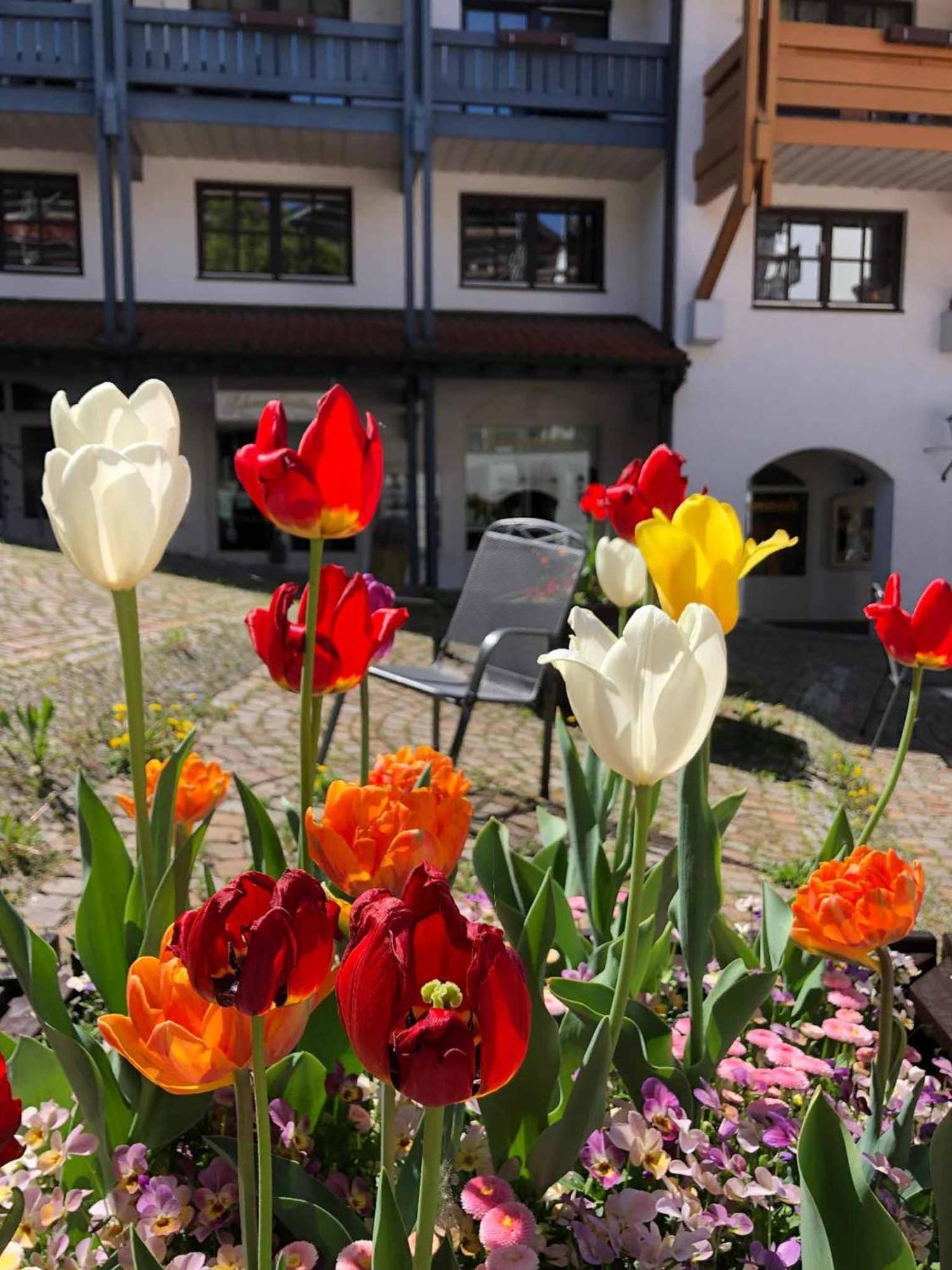 Appartement Am Brunnenplatzl Mit Bademantelzugang บัด กรีสบาค ภายนอก รูปภาพ